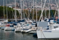 495_Madera_marina w Funchal